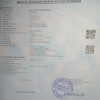 JASA PENGURUSAN SURAT PINDAH PENDUDUK (SKPWNI) TERCEPAT DI JOGJA - Image 10